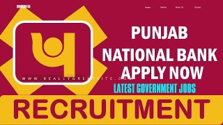 PNB Credit Cad Recruitment 2024, Check SO Notification And Apply Online