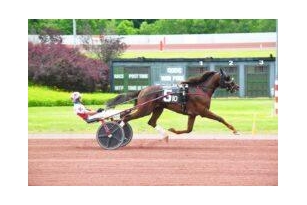 Can’t Help Myself;  Hankins Hanover In Pocono Features – US Trotting News