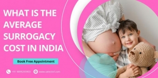 What Is The Average Surrogacy Cost In India In 2024? [In Indian Rupees]