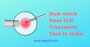 ICSI Treatment Cost In India 2024