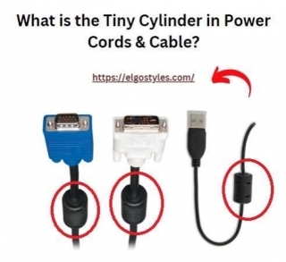 What Is The Tiny Cylinder In Power Cords & Cable?