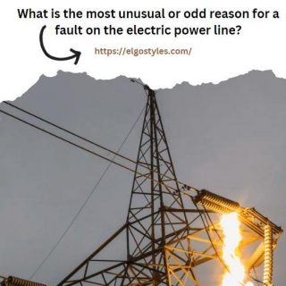 What Is The Most Unusual Or Odd Reason For A Fault On The Electric Power Line?