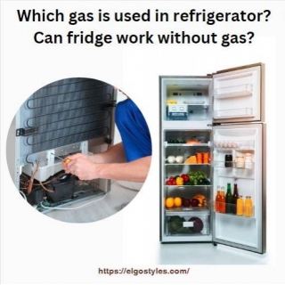 Which Gas Is Used In Refrigerator? Can Fridge Work Without Gas?