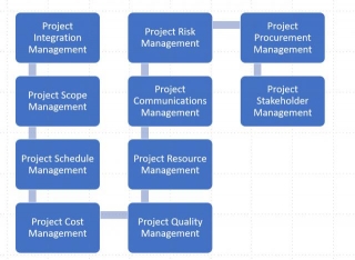 Project Management Knowledge Areas