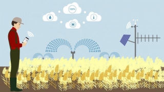Why Do Companies In The Agricultural Industry Need Big Data?