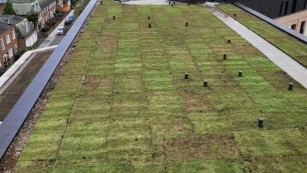 From Rooftops To Rich Habitats: Exploring The Environmental Impact Of Green Roofs On World Green Roof Day