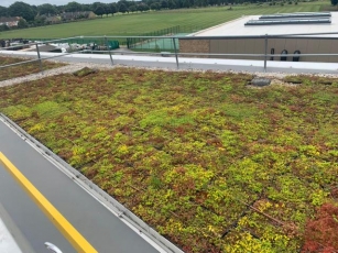 Elevating Urban Landscapes: Celebrating World Green Roof Day With Innovative Designs And Benefits