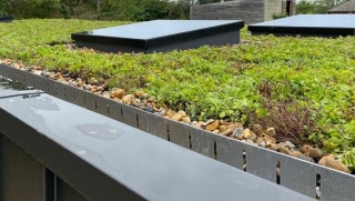 The Essential Guide To Sustaining Your Green Roof: Best Practices For UK Homeowners