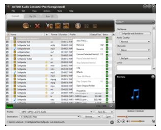ImTOO Audio Converter Pro 7.1.4.20230228 Crack + Key [2024]