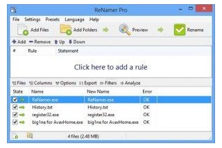 ReNamer Pro 8.2 Crack With Registration Code [Latest 2024]