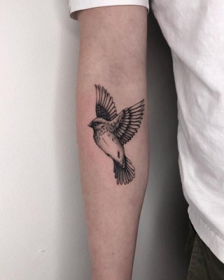 The Timeless Symbolism Of Sparrow Bird Tattoos