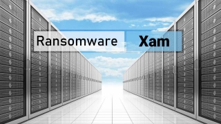Xm02Bot Ransomware (.XAM Files) Virus Removal
