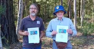 Drones Find Koalas In Natural Eurobodalla Habitat After Three-year Absence | About Regional