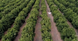 African Drone Company Revolutionizes US Agriculture With AI