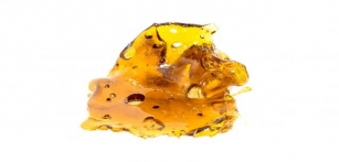 Shatter Weed: Discover The Potent Power Of This THC Concentrate