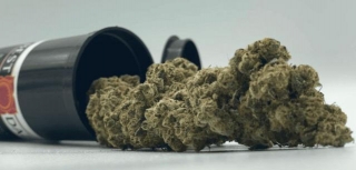 Secrets From An Online Pot Store Uncovered: Find Out What You Can Buy And More!