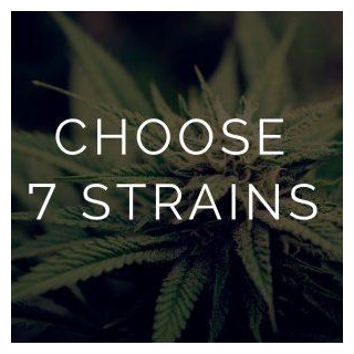 Choosing The Ideal Weed Grinder And Keeping It Clean
