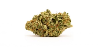 The White Widow: The Popular Strain With A Mystery Origin
