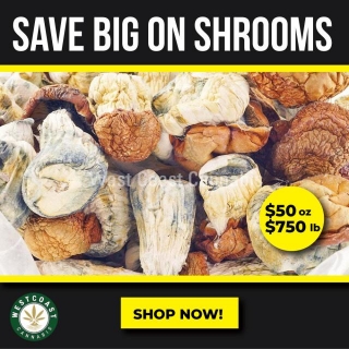 West Coast Cannabis Save Big On Shroomies! $50.00/Ounce! While Supplies Last! Last Chance To Save 10% Off Store Wide With Free Gifts!