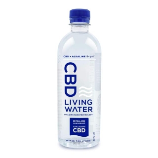 CBD Water Market Size, Industry Share, Forecast 2029