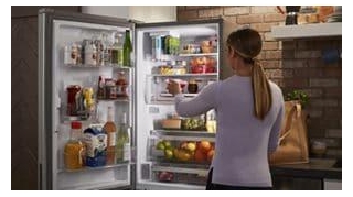 India Refrigerator Market Size, Industry Share, Forecast 2029