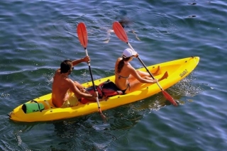 Water Sports Equipment Market Size, Industry Share, Forecast 2029