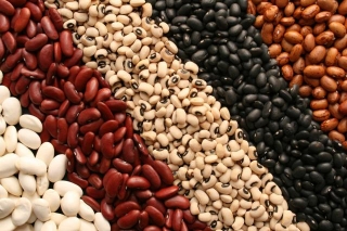 Dry Beans Market Size, Industry Share, Forecast 2029