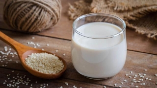 Sesame Milk Market Size, Industry Share, Forecast 2029