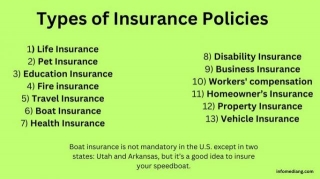 Types Of Insurance Policies You Can Choose From
