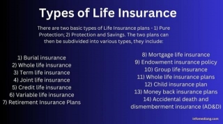 Types Of Life Insurance Plans And Why You Need One