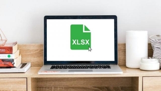 XLSX Nedir?