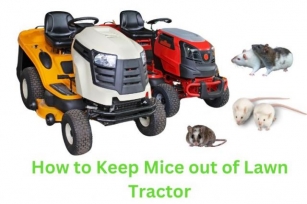 How To Keep Mice Out Of Lawn Tractor: Effective Methods