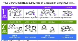 Your Genetic Relatives & Degrees Of Separation Simplified