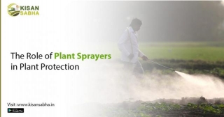 The Role Of Plant Sprayers In Plant Protection