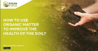 How To Use Organic Matter To Improve The Health Of The Soil?