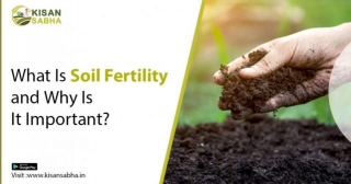 What Is Soil Fertility And Why Is It Important?