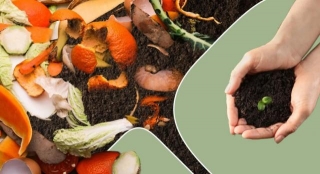What Is Composting? Its Types And Advantages