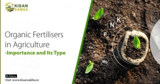 Organic Fertilisers In Agriculture- Importance And Its Type