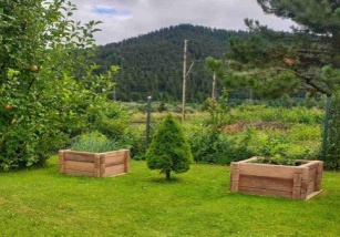 Betonový Zahradní Program V Dekoru Dřeva Vydrží Věky