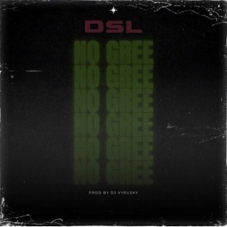 DSL – No Gree