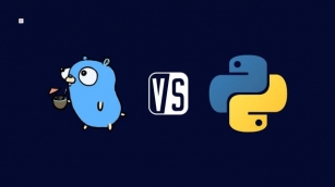 Golang Vs Python: Choosing The Right Programming Language