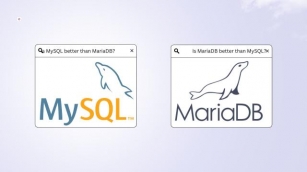 MySQL Vs MariaDB: Which Database Is Right For You?