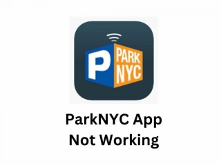 ParkNYC App Not Working | Reason And Solutions