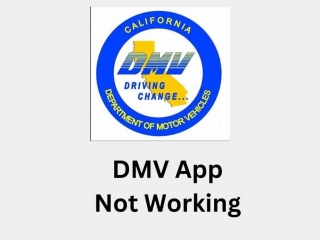 DMV Website Not Working | Reason And Solutions