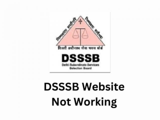DSSSB Website Not Working | Reason And Solutions