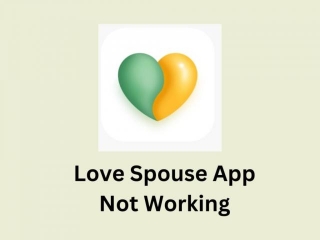 Love Spouse App Not Working | Reason And Solutions