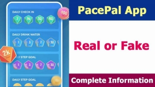 PacePal App Real Or Fake | Latest Review