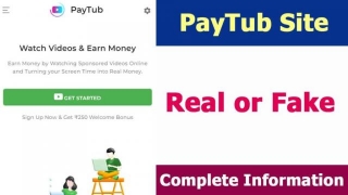 PayTub Site Real Or Fake | Website Review