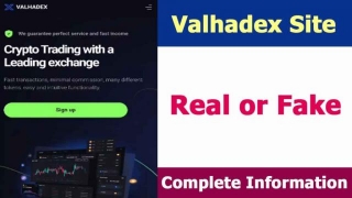 Valhadex Site Real Or Fake | Website Review