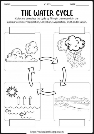 Interactive Water Cycle Worksheets And Activities